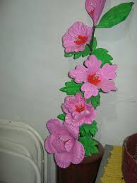 foto5