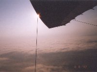 Wing