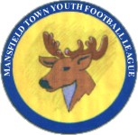 Mansfield Town Youth Football League