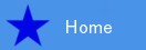 home page nav button