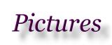 Pictures