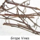 Grape_Vine.jpg (10830 bytes)