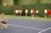 dsc_0128_small.jpg