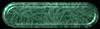 Click this button for conventional Crime Scene Investigation disciplines
