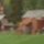 [Small Town] in Norway