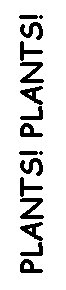 Text Box: PLANTS! PLANTS! P!!Plantnsts