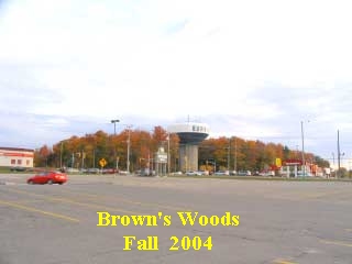 Brown's Bush
