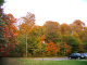 Browns_0410130002