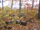 Browns_2004_10_250013