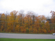Browns_2004_10_250016