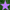 purple star