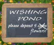 WISHING POND-deposit five coins