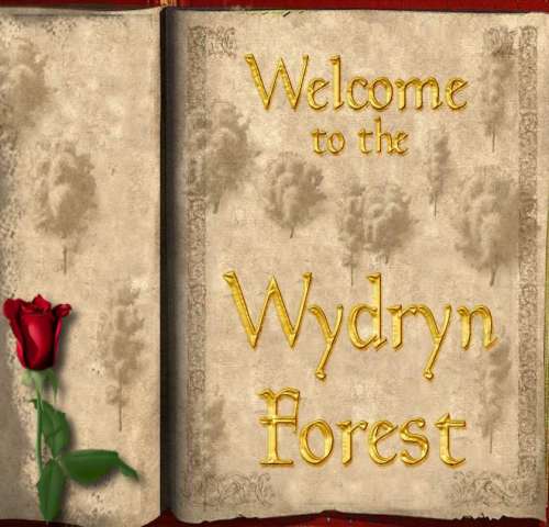 ~Enter and Enjoy~