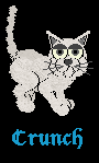 Phillipe of Russians R us and Megans Kitten!