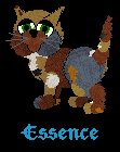 Essance is a boy and is the baby of Molly and Scott!