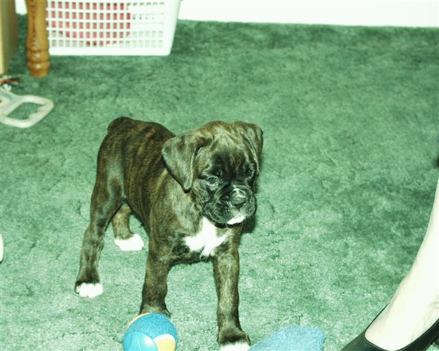 Shes the cutest!