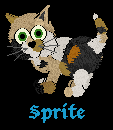 Sprite is annother Kitten of Molly and Scott!