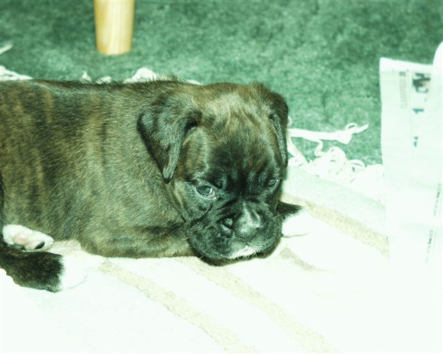 so very very cute! I LUV HER!!!