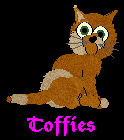 Toffies is a mixed breed and annother kitten of Molly and Scott!