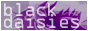 blackdaisies.com [v7]