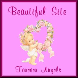 Beautiful Site Award