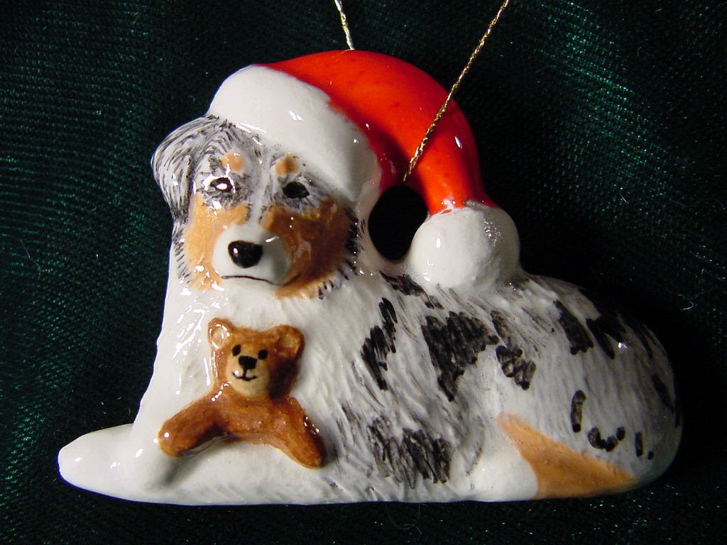 Australian Shepherd with Teddybear and Santa Hat