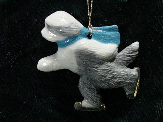 Beardie Skater