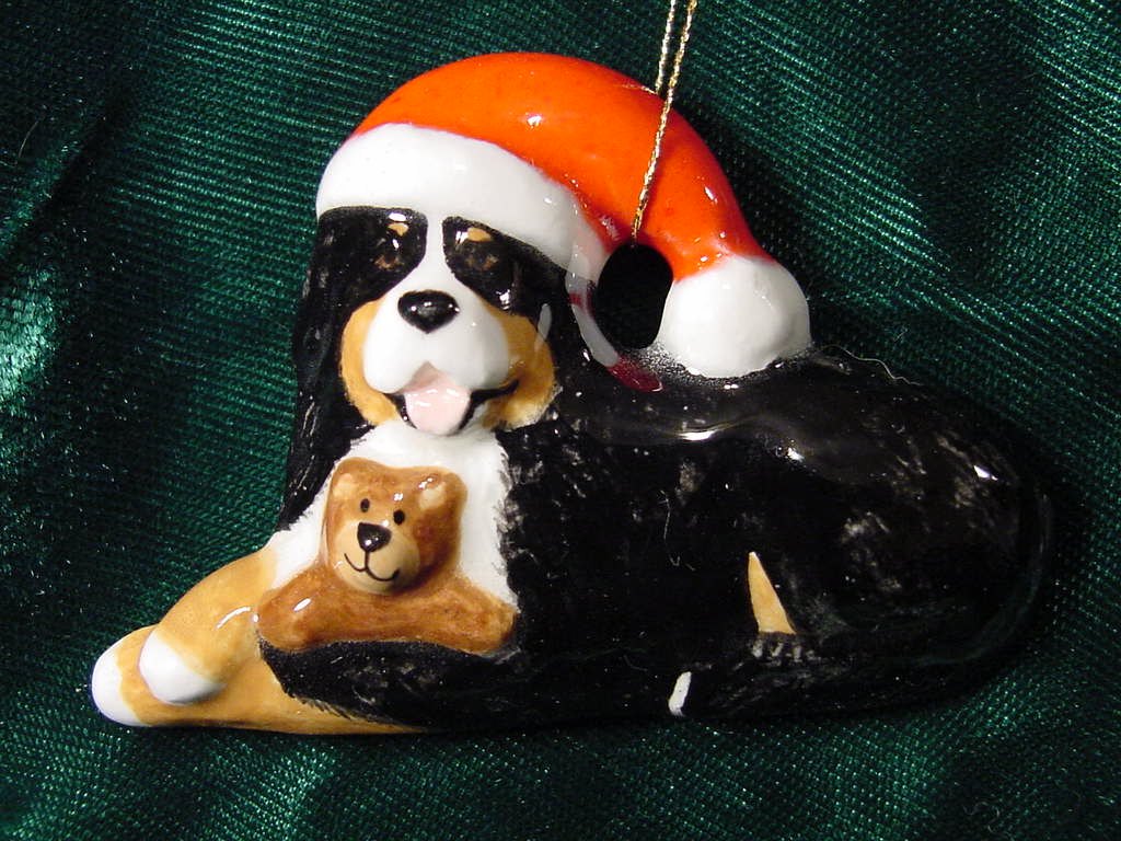 Bernese Mountain Dog with Hat