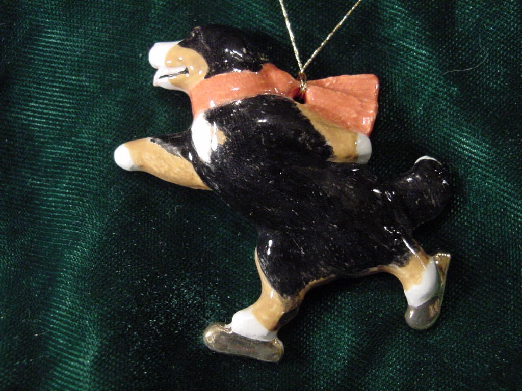 Bernese Mountain Dog Skater