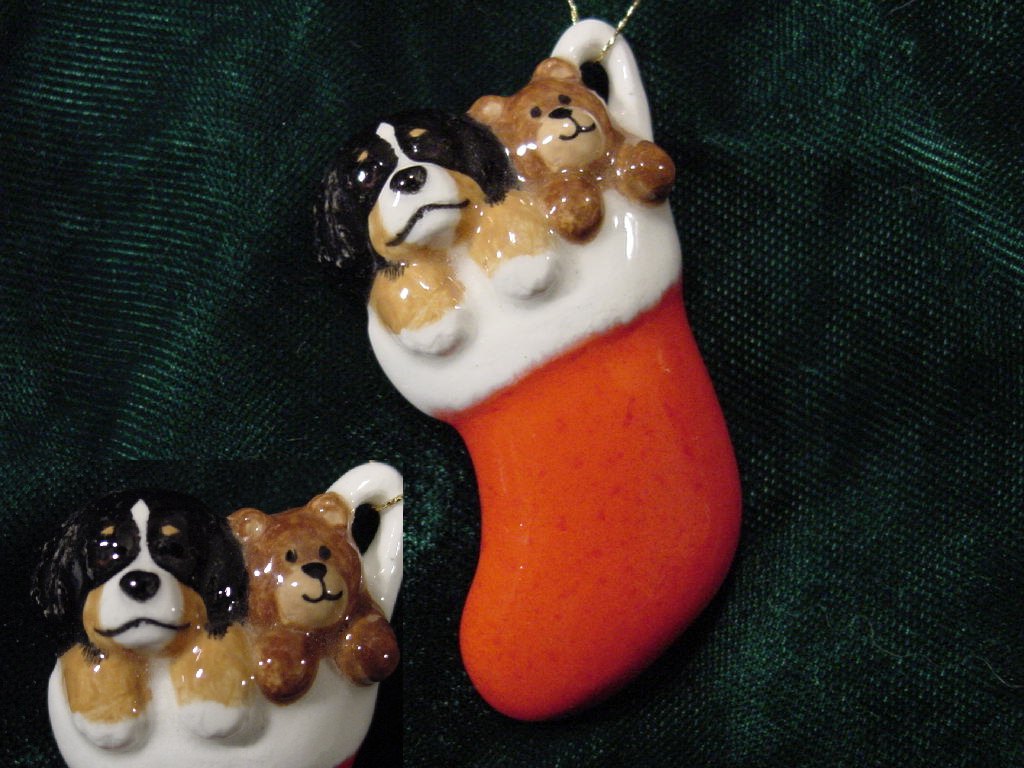 Bernese Mountain Dog Puppy in Stocking
