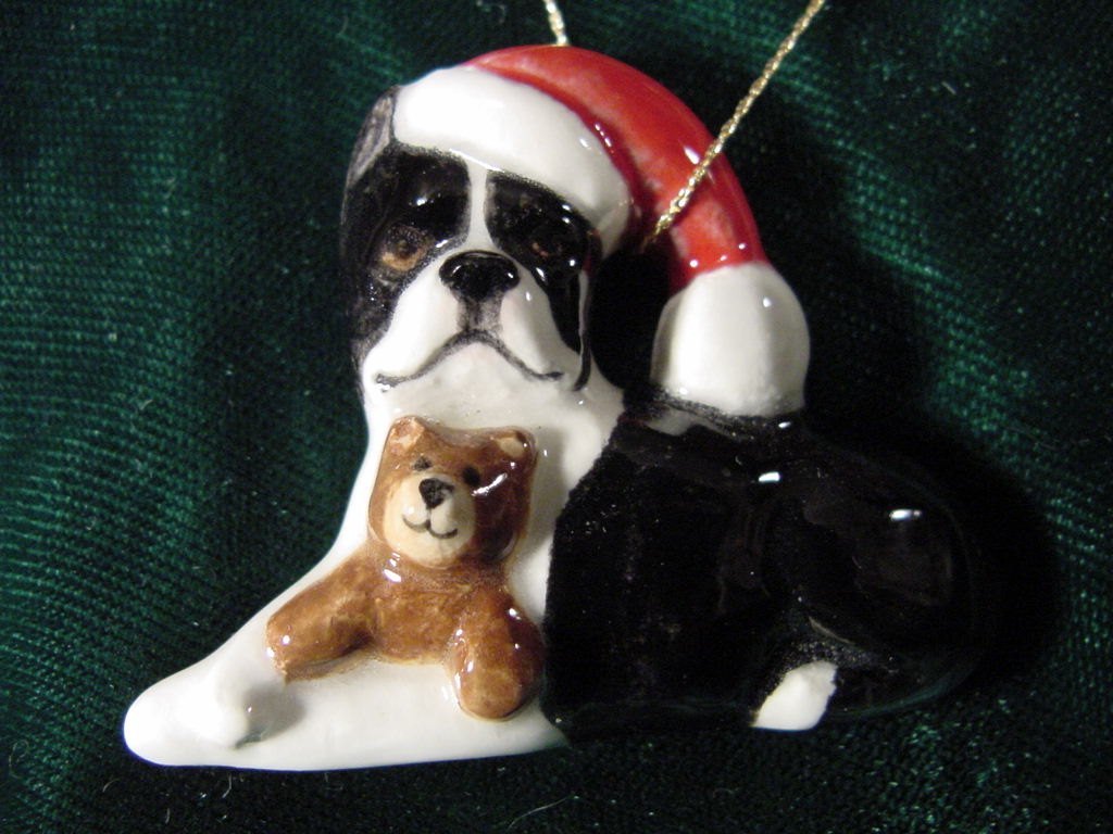 Boston Terrier with Santa Hat