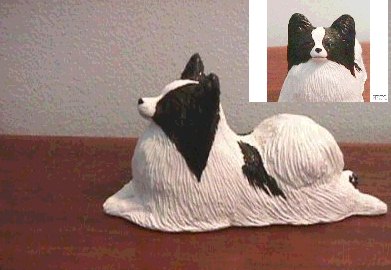 Papillon Laying Down