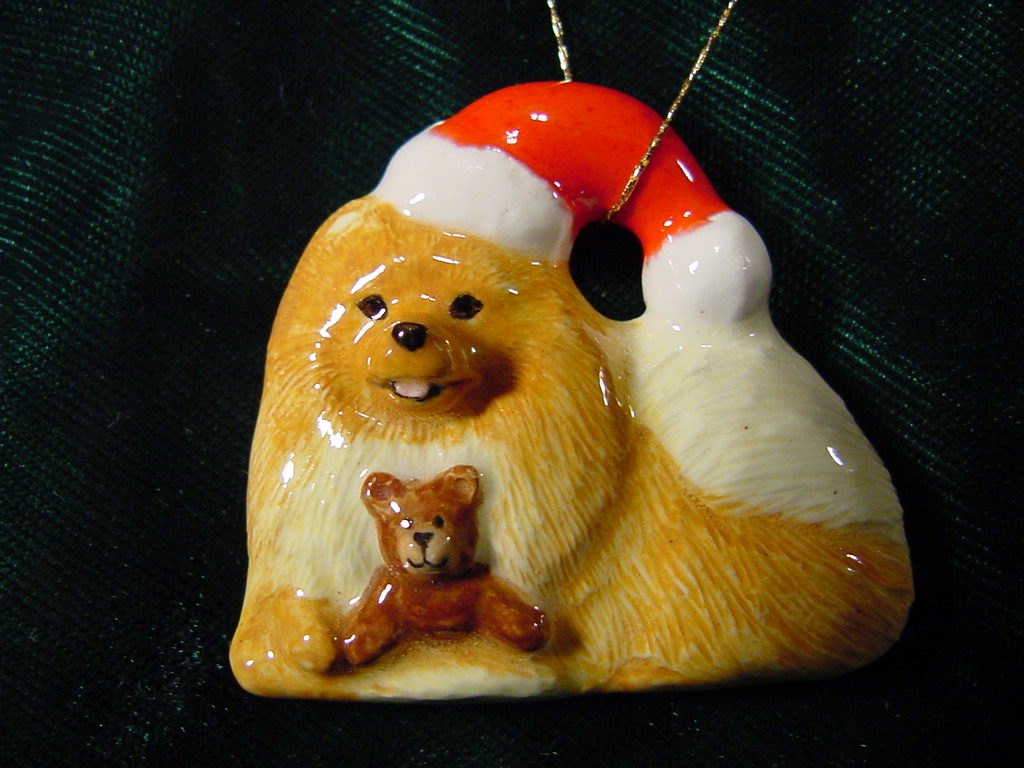 Pomeranian with Santa Hat