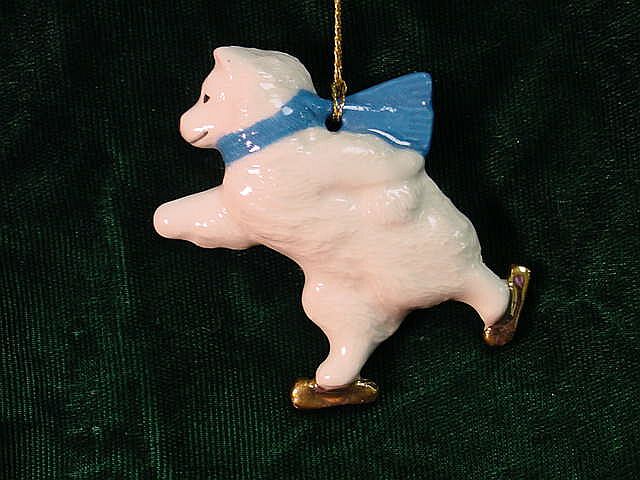 Samoyed Skater