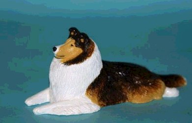 Sheltie