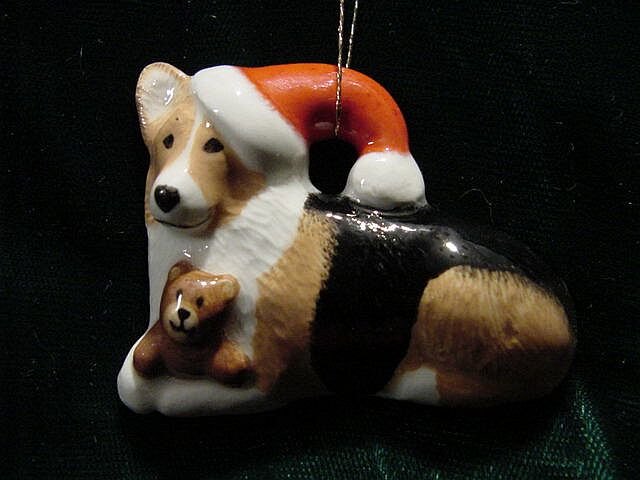 Corgi with Santa Hat
