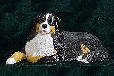 Bernese Mountain Dog