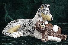 Smooth Collie Puppy
