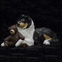 Tricolor Collie Puppy