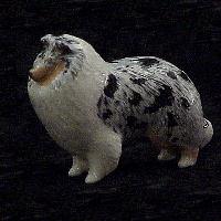 Blue Merle Rough Standing Collie