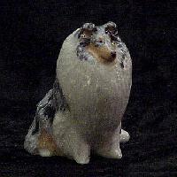 Blue Merle Rough Collie Sitting