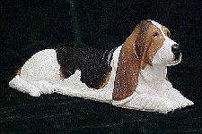 Basset Hound