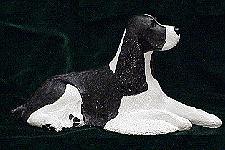 English Springer Spaniel