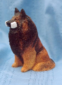 Belgian Tervuren with Dumbell