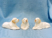 Clumber Spaniels