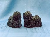 Pulik Figurine