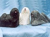 Pulik Figurines