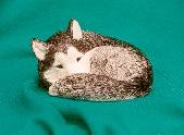 Siberian Husky Figurine