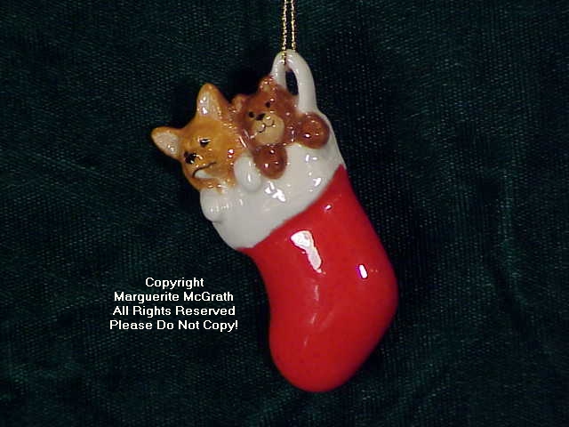 Pembroke Welsh Corgi in Stocking