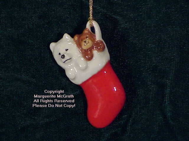 Samoyed in a Stocking